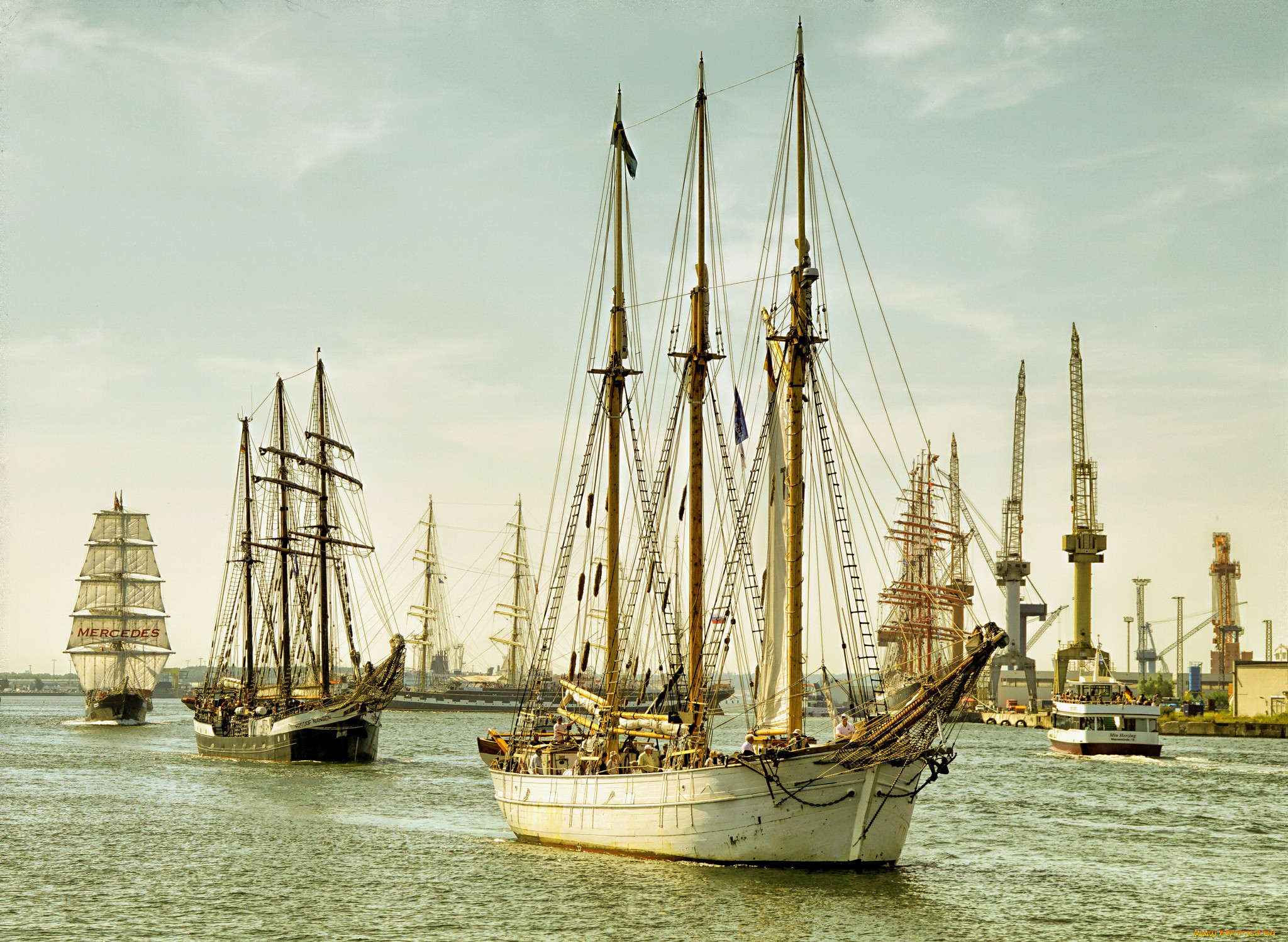 25,  hanse sail 2015 in rostock, , , 